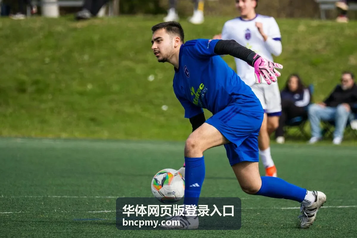 华体网页版登录入口赛事集锦合集封面