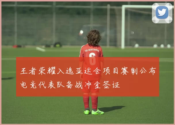 王者荣耀入选亚运会项目赛制公布电竞代表队备战冲金签证