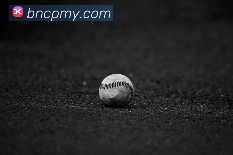 冠竞体育·冠竞官方网站 - 冠竞体育(中国)APP 封面图